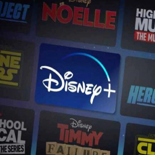 Disney+ ( 1 mo.) and TheFUNPass® Bundle - Work on PC, IOS, Android, Smart TV, Tablet - 1 screen