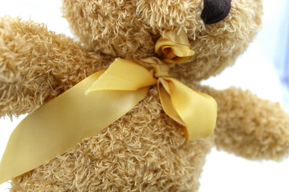 THEFUN® Bear™ Teddy Bear Stuffed Toy